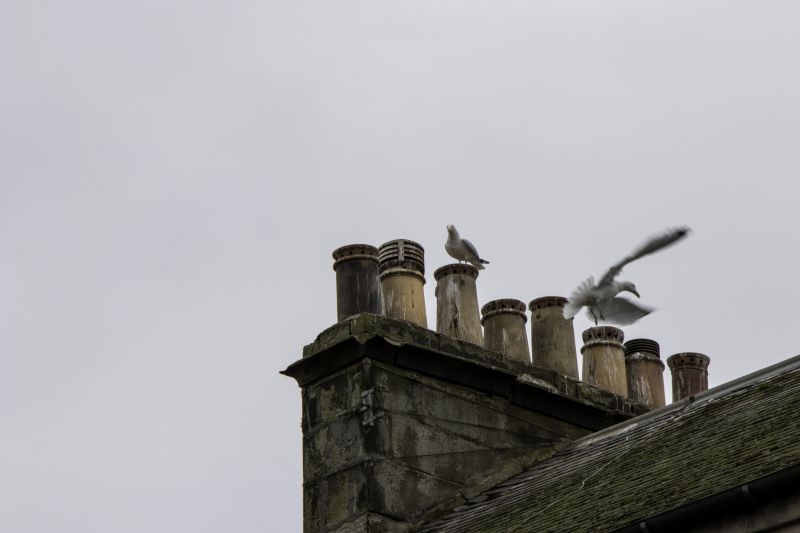 Chimney Painting